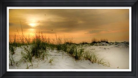 Framed Seagulls at Sunrise Print