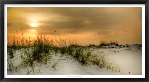 Framed Seagulls at Sunrise Print