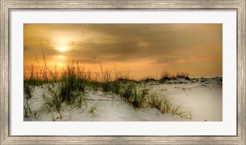 Framed Seagulls at Sunrise Print