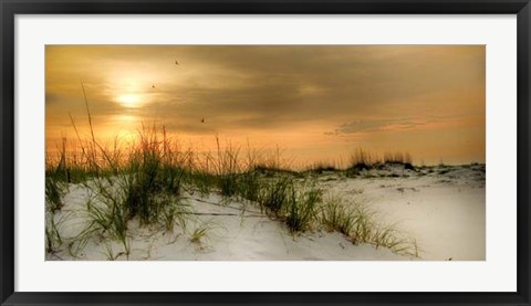 Framed Seagulls at Sunrise Print