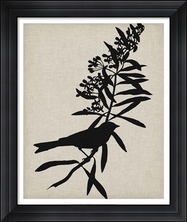 Framed Audubon Silhouette I Print