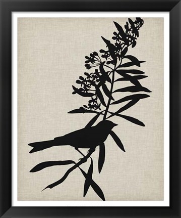 Framed Audubon Silhouette I Print