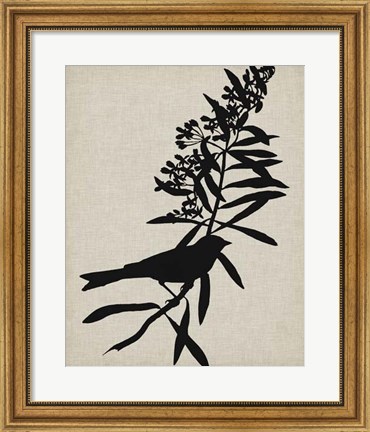 Framed Audubon Silhouette I Print