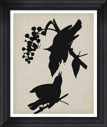 Framed Audubon Silhouette III Print