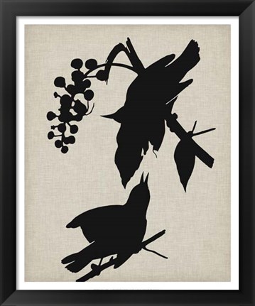 Framed Audubon Silhouette III Print