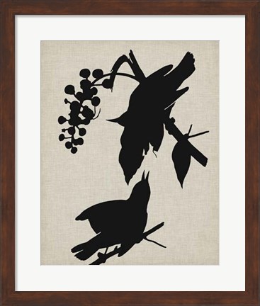 Framed Audubon Silhouette III Print