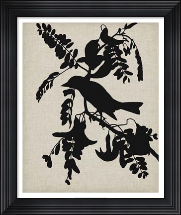 Framed Audubon Silhouette V Print