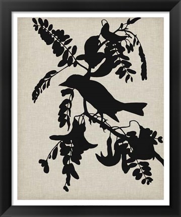 Framed Audubon Silhouette V Print