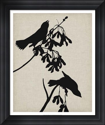 Framed Audubon Silhouette VI Print
