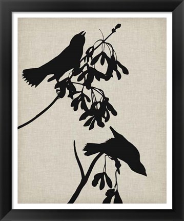 Framed Audubon Silhouette VI Print