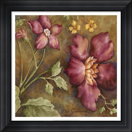 Framed Antique Beauties II Print