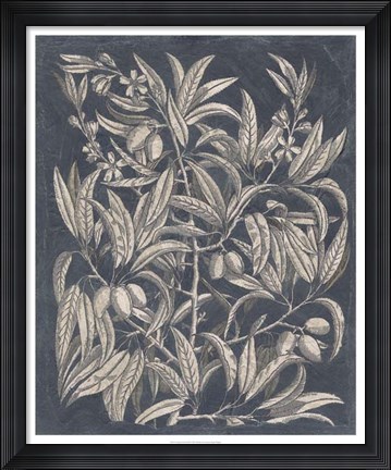 Framed Vintage Fruit &amp; Floral I Print