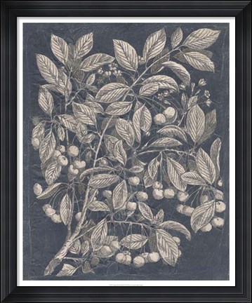 Framed Vintage Fruit &amp; Floral III Print