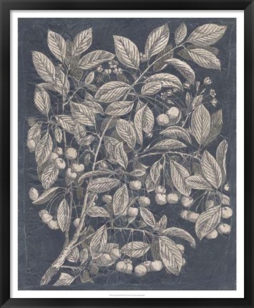 Framed Vintage Fruit &amp; Floral III Print