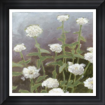 Framed Botanical Garden Study II Print