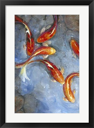 Framed Graceful Koi II Print