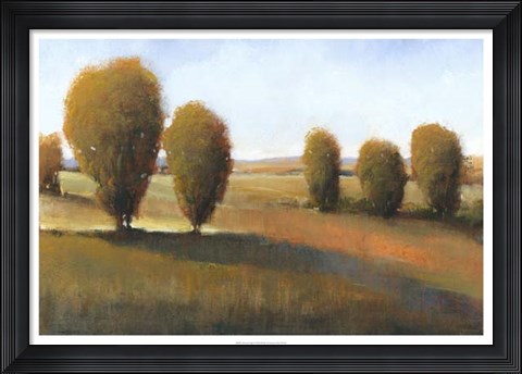 Framed Afternoon Light I Print