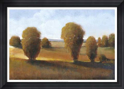 Framed Afternoon Light II Print