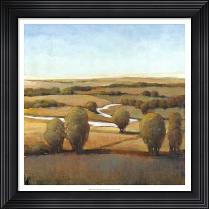 Framed Afternoon Light III Print