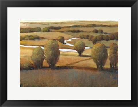 Framed Afternoon Light III Print