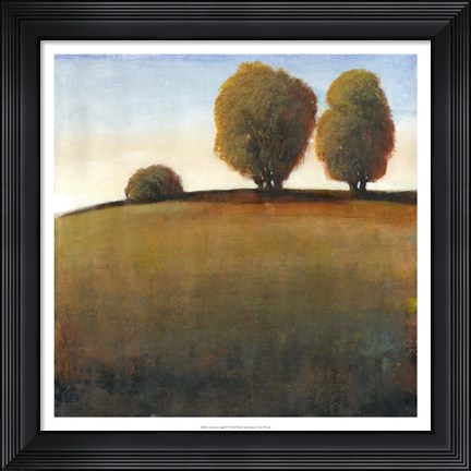 Framed Afternoon Light IV Print