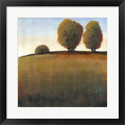 Framed Afternoon Light IV Print