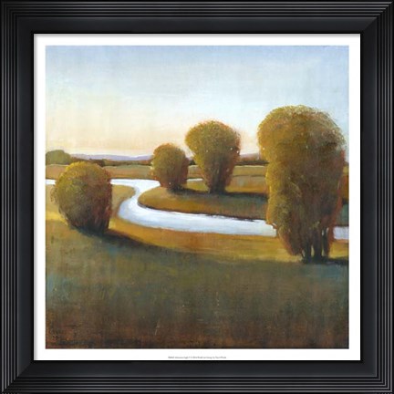 Framed Afternoon Light V Print