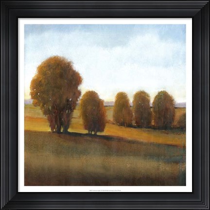 Framed Afternoon Light VI Print