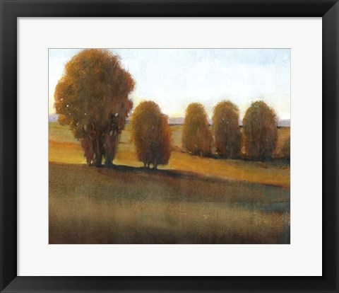 Framed Afternoon Light VI Print