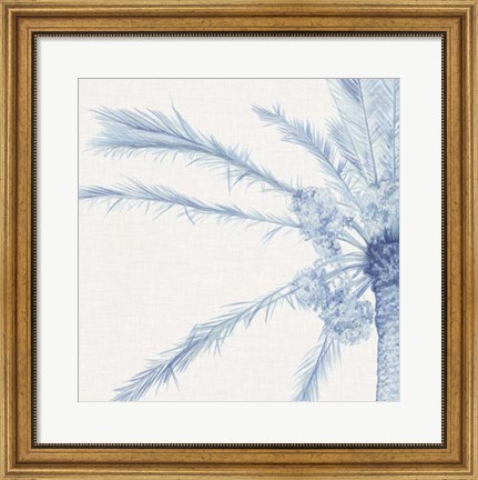 Framed Chambray Palms I Print