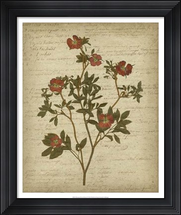 Framed Romantic Pressed Flowers I Print