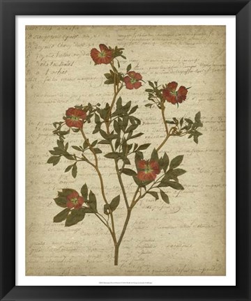 Framed Romantic Pressed Flowers I Print