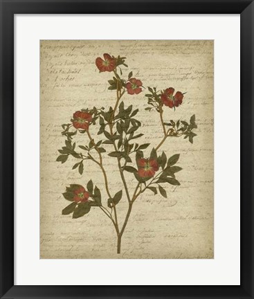 Framed Romantic Pressed Flowers I Print