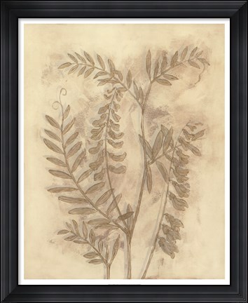 Framed Gilded Foliage I Print