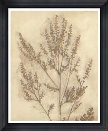 Framed Gilded Foliage II Print