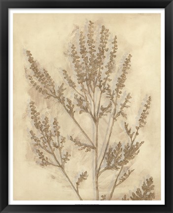 Framed Gilded Foliage II Print