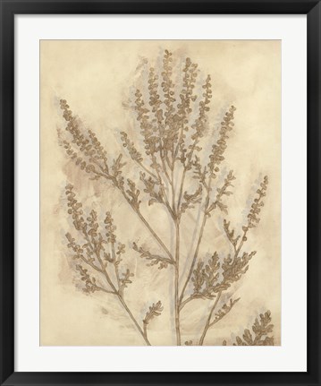 Framed Gilded Foliage II Print