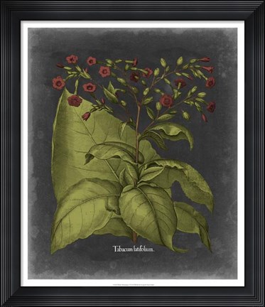 Framed Besler Dramatique I Print