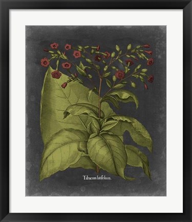 Framed Besler Dramatique I Print