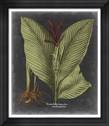 Framed Besler Dramatique II Print