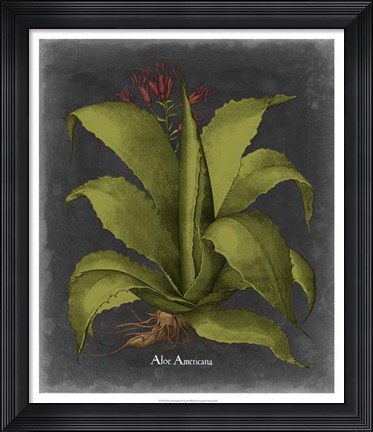 Framed Besler Dramatique III Print