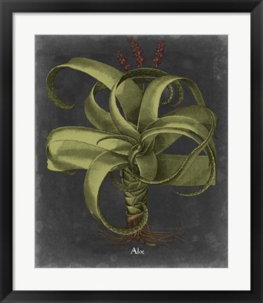 Framed Besler Dramatique IV Print