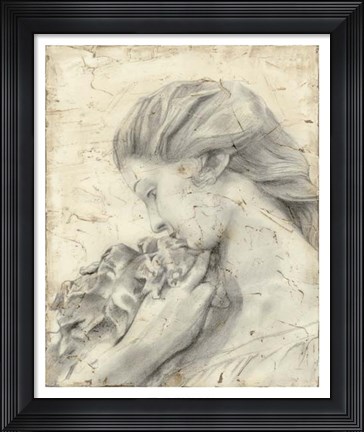 Framed Statue in the Garden II Print
