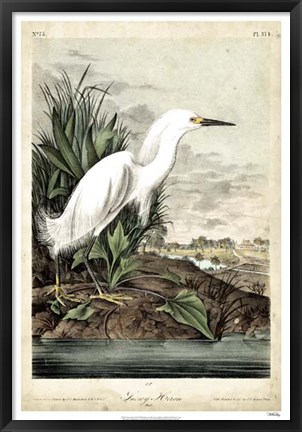 Framed Snowy Heron Print
