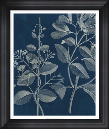 Framed Modern Botany I Print
