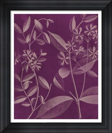 Framed Modern Botany III Print