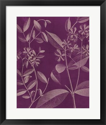 Framed Modern Botany III Print