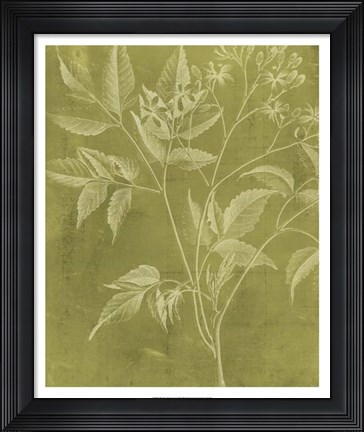 Framed Modern Botany V Print