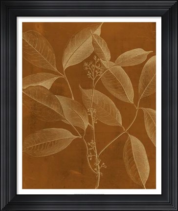 Framed Modern Botany VI Print