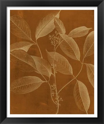 Framed Modern Botany VI Print